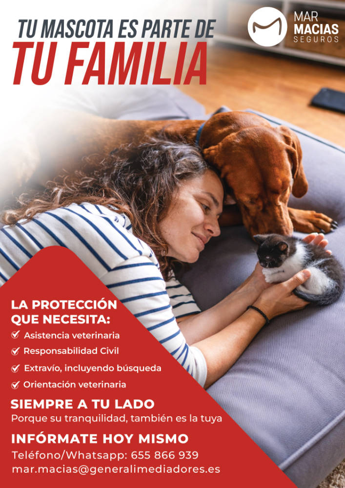 Promo Generali Mar Macias Mascotas